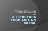 A estrutura fundiária no Brasil