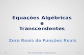 Equações Algébricas e Transcendentes - Isolamento de Raízes - @professorenan