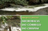 Projeto Bacias - Microbacia do Córrego do Crispim
