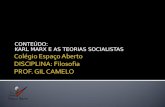 Karl max e as teorias socialistas