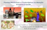 Plantas medicinais e fitoterápicos na atenção primária à saúde