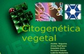 Citogenética vegetal