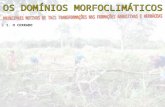 Aula dominios morfoclimaticos_do_brasil_16-05-2012_parte2