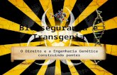 Biossegurança e transgenia: Direito e Engenharia Genetica construindo pontes