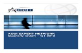 Acoi Expert Network Quarterly Q1 2013
