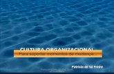 Cultura Organizacional Grupos Colaborativos MudançA Organizacional