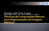 Técnicas de Computação Natural para Segmentação de Imagens
