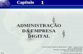 Administração da Empresa Digital