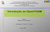 Curso Introdutório OpenFOAM  parte 1