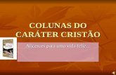 COLUNAS DO CARÁTER CRISTÃO - slide