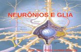 NeurÔnios e Glia
