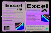 Excel Avancado