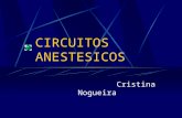 Circuitos Anestésicos - Cristina