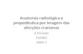 Anatomia Radiológica e Propedêutica Por Imagem Das Afecções