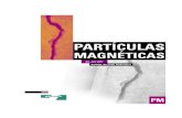 Ensaio de particulas magneticas