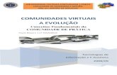Comunidades Virtuais - A Evolu§£o