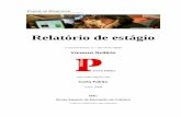 RELATÓRIO DE ESTÁGIO Público  - Vanessa Quitério