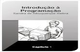 Programação 1 Linguagem C (UFRPE)