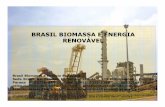Brasil Biomassa Co-geracao de Energia
