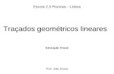 Estrutura/Forma/Função: Traçados geométricos lineares