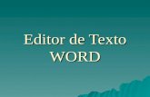 Editor de Textos Word