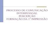 PROCESSO DE COMUNICAÇÃO INTERPESSOAL Aula I