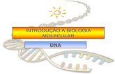DNA revisado