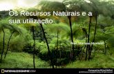 Os Recursos Naturais e a Sua Utilização