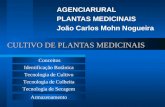 Plantas Medicinais - Palestra Completa