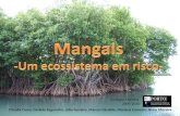 Mangais -  Um ecossistema em risco