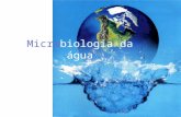 3149_9a Aula-Microbiologia Da Agua