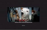 Mundo Cão: retratos do descaso e abandono em Mogi das Cruzes
