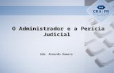 O administrador e a perícia judicial