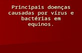 a6 Doencas Causadas Por Virus e Bacterias