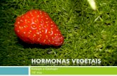 (11) Biologia e Geologia - 10º Ano - Hormonas Vegetais