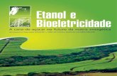 Etanol e bioeletricidade - A cana-de-açúcar na matriz energética brasileira