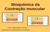 Aula de bioqu­mica da contra§£o muscular (1)
