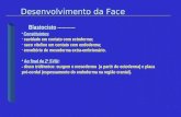 [Embriologia] - Desenvolvimento da Face