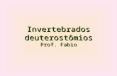 Invertebrados DEUTEROSTÔMIOS Prof.Fabio FINAL