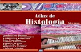 Atlas Histologia Pele e Anexos