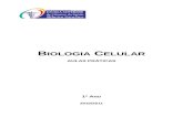 Sebenta_praticas_biologia_celular_2010-11 (1)