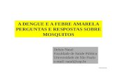 Dengue e Febre Amarela
