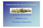 1195744003 Plantacao Em Vasos e Floreiras
