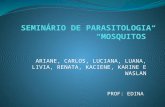 Mosquitos - Parasitologia