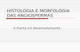 Histologia e Morfologia Das Angiosperm As