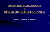 biossegurança - risco biologico e NBS