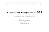90_Treinamento Crystal Reports XI