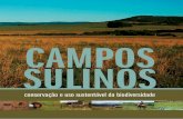 Campos sulinos-parte1