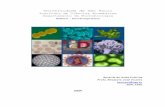 Apostila de microbiologia (aulas práticas)