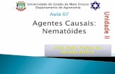 Aula 07 - Agentes Causais Nematoides